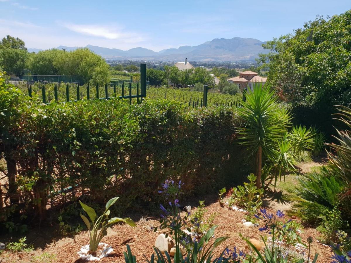 De Wingerd Wijnland Lodge Paarl Eksteriør billede