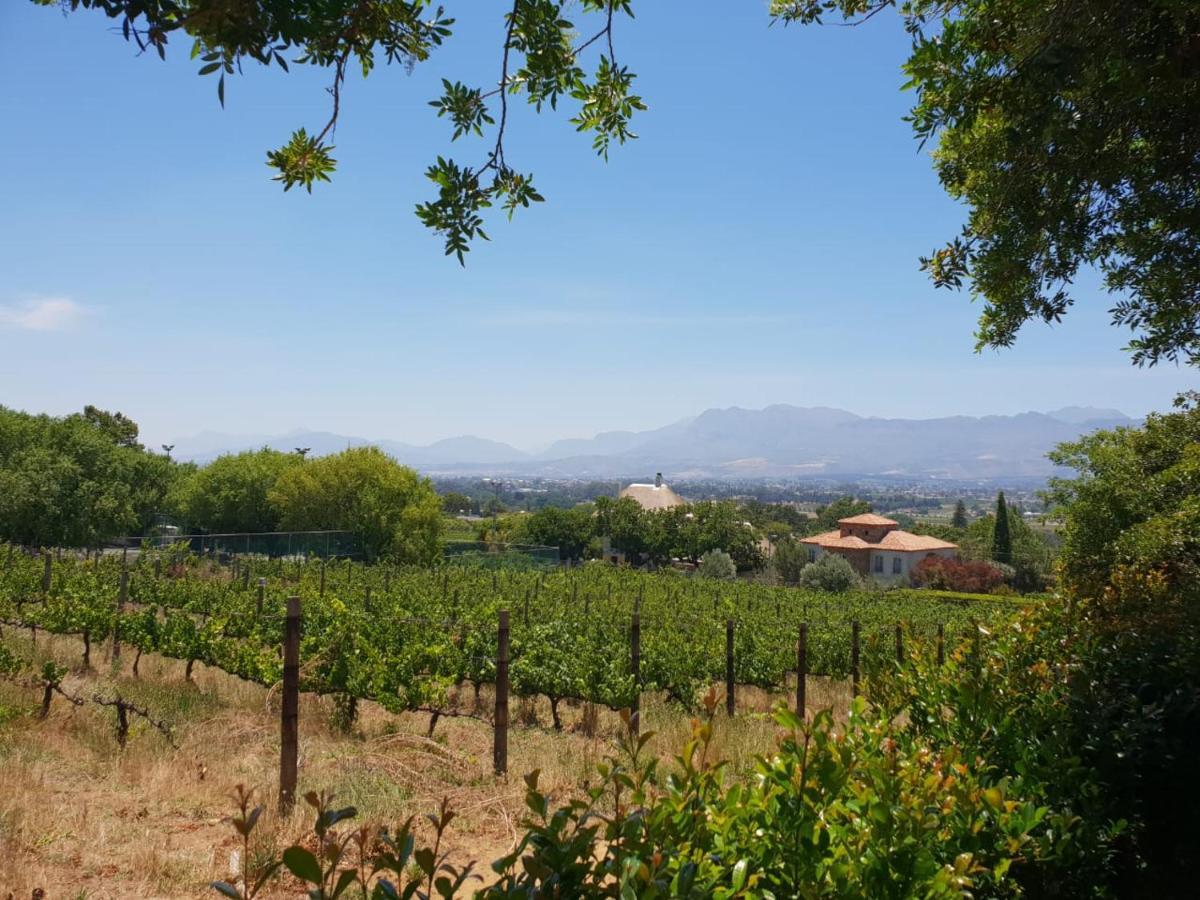 De Wingerd Wijnland Lodge Paarl Eksteriør billede